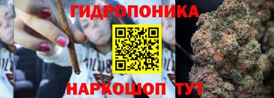 ECSTASY Чапаевск