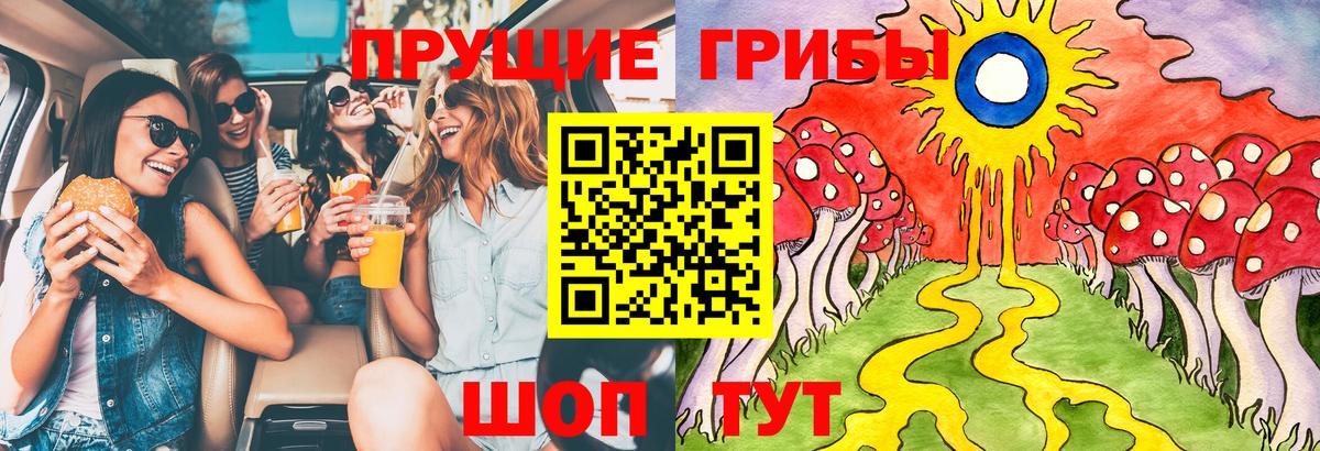 Псилоцибиновые грибы мицелий Муравленко