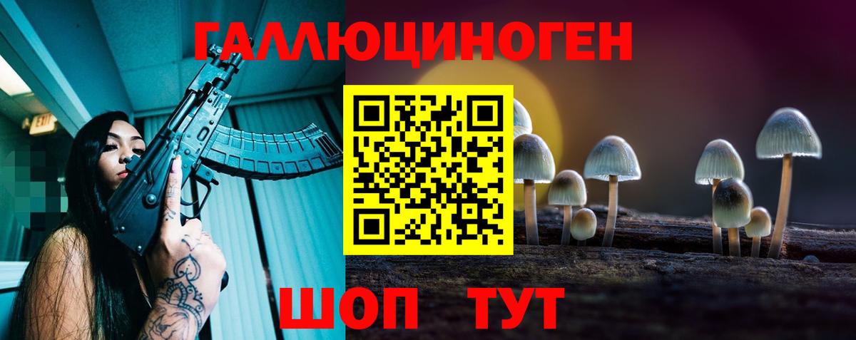где купить   Галлюциногенные грибы Psilocybe  Вход с VPN  Муравленко 
